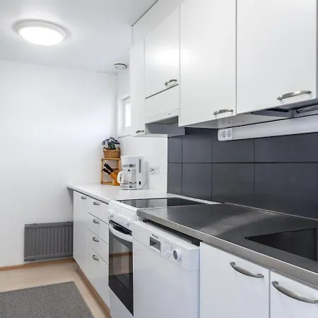 1br Downtown With Sauna & Balcony Lahti